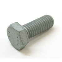 900 075 481 01 - Hex Bolt Full Zinc - 10 x 25