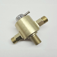 
              928 110 202 22AM - Billet Front Fuel Pressure Damper - Gold Finish - 87 to 95
            